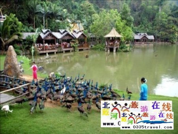 云南經(jīng)典旅游線路