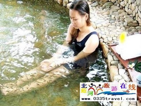 南戴河小魚溫泉景區