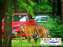 秦皇島野生動物園景點門票優(yōu)惠88元起團(tuán)，一人也成團(tuán)，團(tuán)隊更優(yōu)惠，咨詢電話0335-3522599: