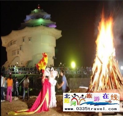 北戴河碧螺塔酒吧公園門票一張