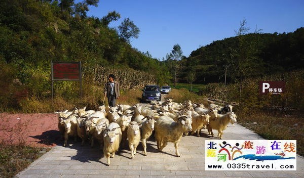 東戴河小河口長城門票