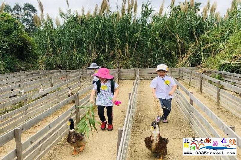 北戴河集發(fā)夢(mèng)想王國(guó)電話18633570222  15703350808