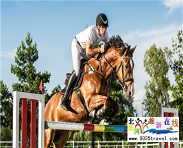 [秦皇島] 秦皇島北戴河超硬核馬術(shù)俱樂部集錦——兒童馬術(shù)課程：英倫國際馬術(shù)俱樂部、仁軒馬術(shù)俱樂部、阿那亞馬會