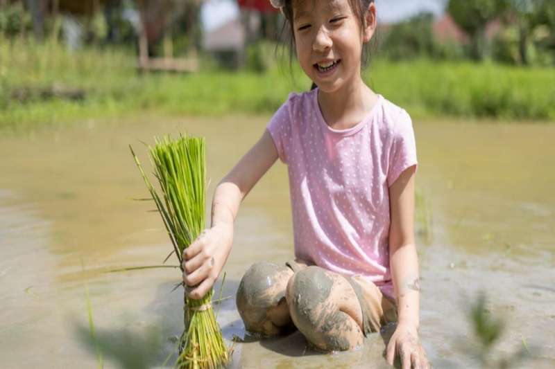 北戴河漁田小鎮(zhèn)七里海度假區(qū)電話18633570222