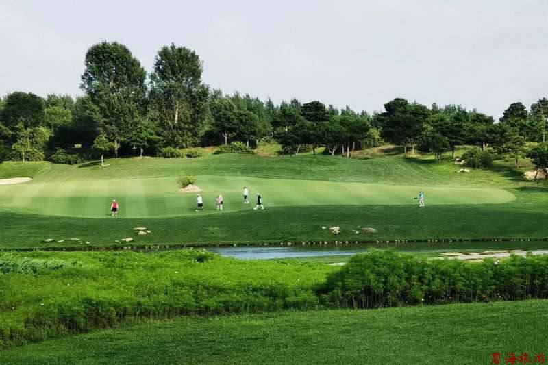 北戴河松石高爾夫/保利國際高爾夫/榮盛森林高爾夫俱樂部球場聯(lián)合優(yōu)惠預(yù)訂18633570222  15703350808