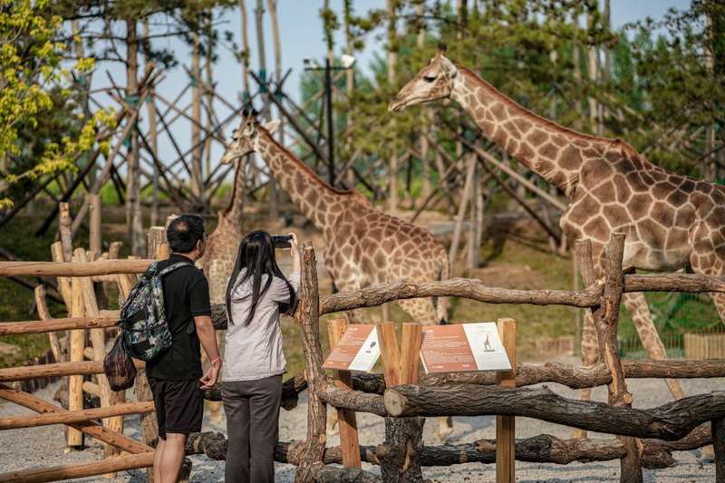 北戴河漁田小鎮(zhèn)七里海度假區(qū)-萬(wàn)得瀾度假酒店&七里宿集民宿