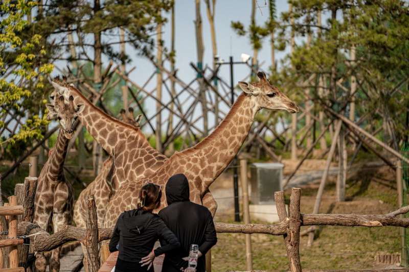 北戴河漁田小鎮(zhèn)七里海度假區(qū)-萬(wàn)得瀾度假酒店&七里宿集民宿